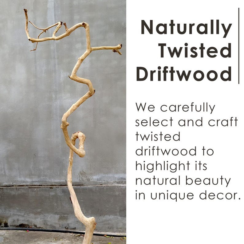 Aurenroot Solid Wood Live Edge Corner Tree Branch Floating Bookshelf